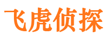 历城外遇调查取证